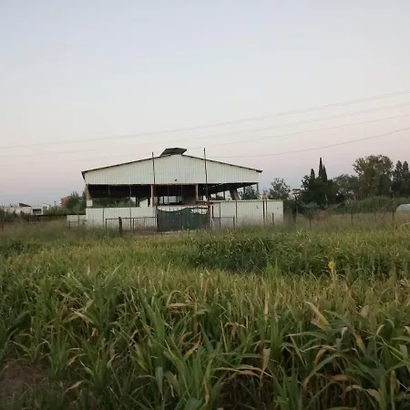 Horse House Aksu (Antalya)